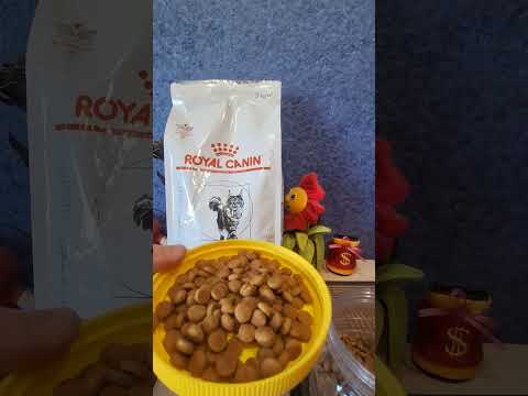 Видео: Royal Canin куда дальше?