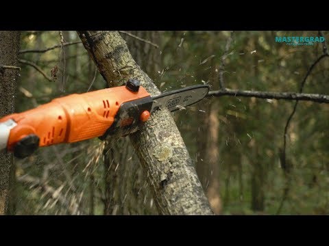 Видео: Высоторезы. Будь здорово, дерево!