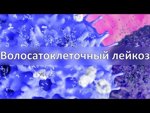 Видео: Волосатоклеточный лейкоз