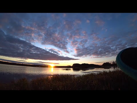 Видео: Открытие охоты на утку 2020. Утро и Вечер. Пчельник