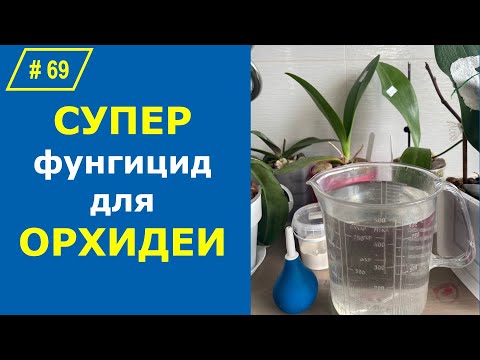 Видео: # 69 Как вернуть орхидею с того света. Препарат ТОПСИН-М для орхидей #ПоливОрхидеи #ЛечениеОрхидей