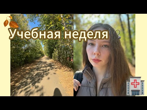 Видео: НЕДЕЛЯ В МЕД КОЛЛЕДЖЕ😥/МНОГО ЛАТИНСКОГО😩