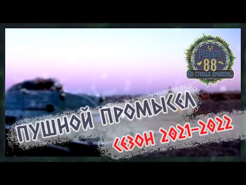 Видео: Регион 88 | Пушной промысел. Сезон 2021-2022. Заезд, дела таежные