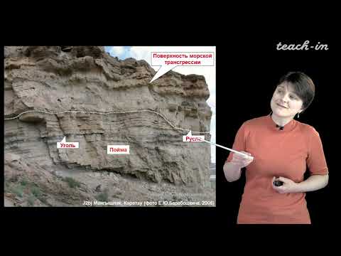Видео: Лыгина Е. А. - Историческая геология. Краткий курс - 5. Прибрежные фациальные обстановки