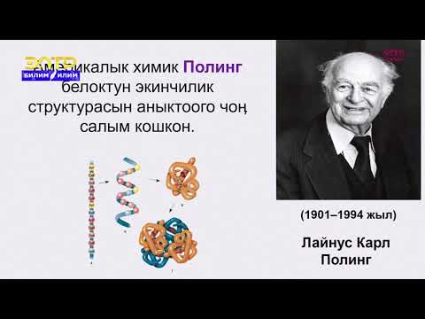 Видео: 10-класс  | Химия | Белоктор жана жалпы мүнөздөмөсү. Химиялык касиеттери