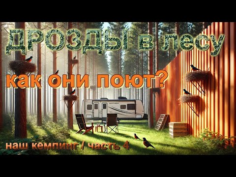 Видео: Завораживающее пение дроздов рябинников! Первые птенцы в гнездах! Ночная романтика в лесу