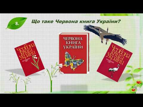 Видео: 2 клас  Я досліджую світ  Діагностична робота