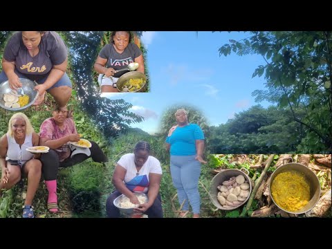 Видео: Ирландское карри с соленой рыбой, клецками и зеленым бананом.