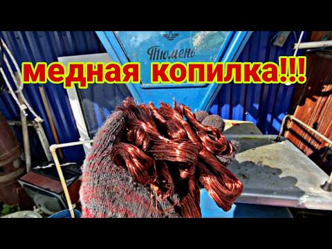 Видео: Медная копилка растет не по дням, а по часам!
