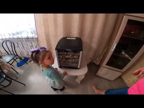 Видео: Сушилка Oberhof Fruchttrockner В-53