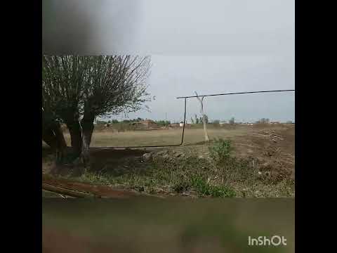 Видео: Ходжейли Амударья совхоз 2022ж.