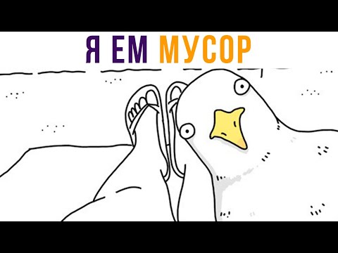 Видео: Комиксы про животных. Они могут говорить!) | Мемозг 618