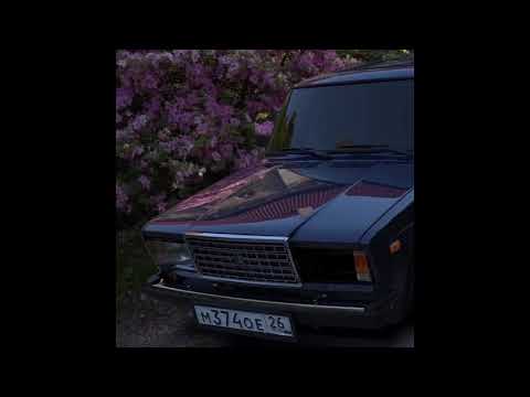 Видео: влюбленный волк уже не хищник😔🥀🔥