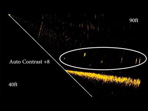 Видео: Lowrance Eagle Eye Live — обзор, часть 1