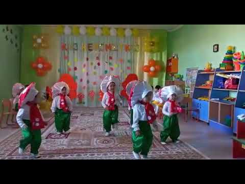 Видео: Грибы #саңырауқұлақтар