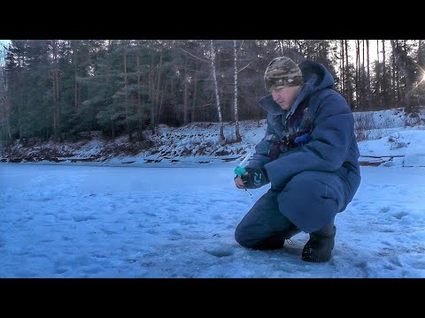 Видео: РЫБАЛКА В ФЕВРАЛЕ НА ЛЕСНОЙ РЕЧКЕ! 5 ВИДОВ РЫБЫ И 2 СУПЕРБОНУСА НА БЕЗМОТЫЛКУ!Леска трещит в руках