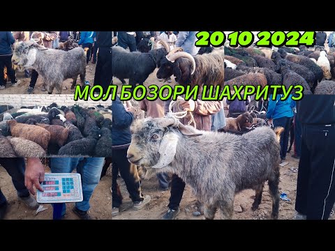 Видео: МОЛ БОЗОРИ ШАХРИТУЗ МАРХАМАТ 20 10 2024