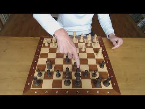 Видео: Шахматы.Испанская партия