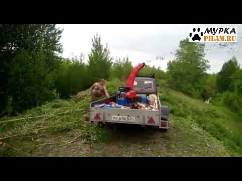 Видео: Мурка щепорез DRX Щ-450 бензиновый цена pilam.ru