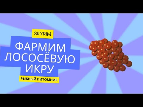 Видео: Где взять лососевую икру в Skyrim? Фарм через рыбный питомник