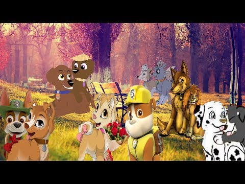 Видео: 💗Финал щенячей любви. Спасибо за 3 тыс. подписчиков💗