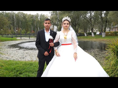 Видео: ЦЫГАНСКИЕ СВАДЬБЫ 18 СЕНТЯБРЯ 2023г НИЖНИЙ НОВГОРОД ТУЛА № 1