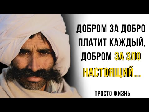 Видео: Мудрые турецкие цитаты. (Просто Жизнь)