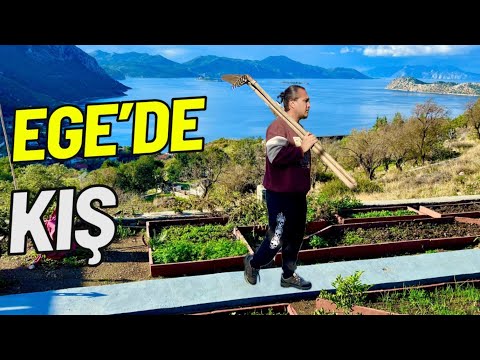 Видео: В нашу деревню пришла зима / освежились воздух и вода