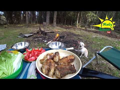 Видео: Рыбалка на Лесной Реке. Донки. Чешуя Размером с Монету. Крупная Рыба на Ужин!