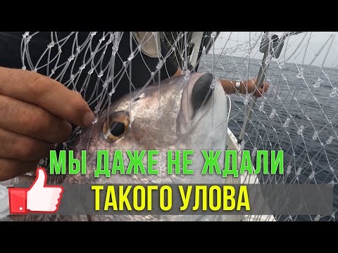 Видео: Такого улова мы даже и не ждали! Незабываемая рыбалка в Атлантическом океане