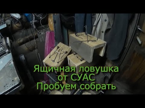 Видео: Ящичная ловушка от СУАС Пробуем собрать