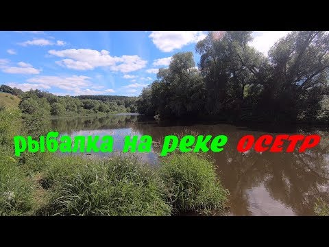 Видео: Рыбалка в Подмосковье на реке Осетр