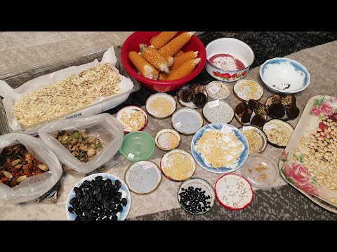 Видео: Семена на 2026 год для урожайного огорода в деревне собираю все самое нужное! 