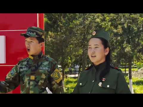 Видео: «Жоокер элбиз»