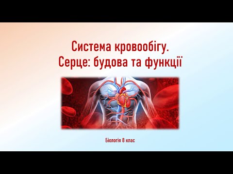 Видео: Біологія людини. Система кровообігу. Серце: будова та функції