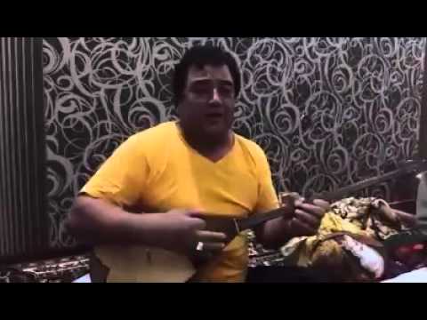 Видео: Тербеледі тың дала