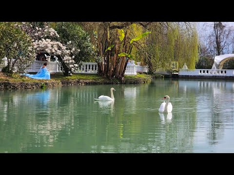 Видео: ПАРК ЮЖНЫЕ КУЛЬТУРЫ ВЕСНОЙ. ОТДЫХ В АДЛЕРЕ 2024