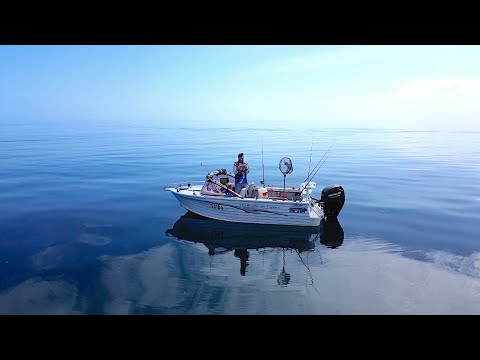 Видео: Удивительные условия | Ловля кальмаров в Басселтоне, Западная Австралия