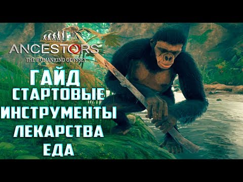 Видео: ГАЙД: Инструменты, Лекарство и Еда Ancestors The Humankind Odyssey