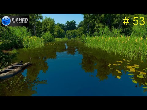 Видео: # 53 река Пра. ч.4  Продолжаем поиск на водоеме: линь, голавль, стерлядь и другие.   Fisher Online