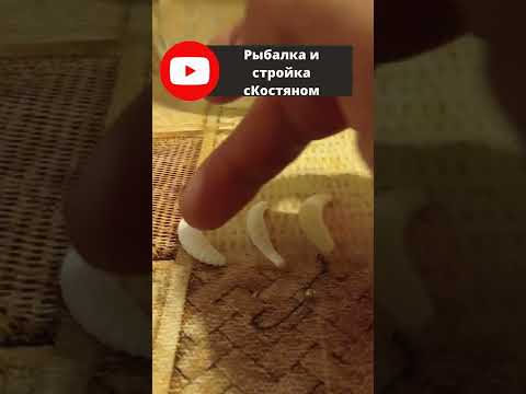 Видео: Ловля форели на маггот.Силиконовые насадки для форели.Способы ловли на резину