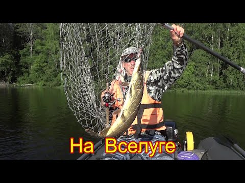 Видео: Второй день рыбалки на Вселуге. Троллинг по глубине и по мелководью. Много поклевок вдоль берега.