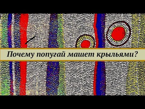 Видео: Почему попугай машет крыльями? Сравнение разных видов движения попугая на примере жако.