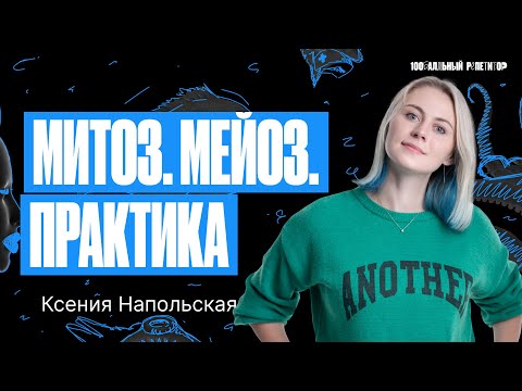 Видео: Митоз. Мейоз. Практика. ЕГЭ по биологии 2024 | Ксения Напольская