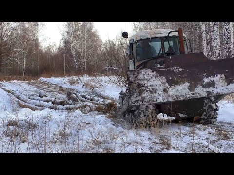 Видео: ДТ 75  ВСЁ ЕЩЁ В СТРОЮ. Вывоз дров из леса.