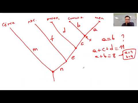 Видео: Разбор заданий Республиканской Олимпиады по биологии 2017 года (Казахстан)
