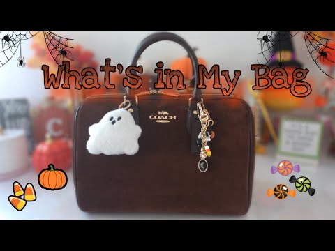 Видео: Что входит в комплект My Coach Large Brown Suede Rowan 👻🎃 и мини-обзор 🌙🍬🕷️