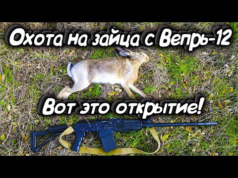 Видео: Охота на зайца 2020. ВОТ ЭТО ОТКРЫТИЕ! Охота с Вепрь-12. Открытие охоты на зайца.