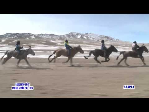 Видео: Баянхонгор Хангайн Бүс Азарга 2016