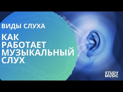 Видео: Как РАБОТАЕТ музыкальный СЛУХ? Виды слуха